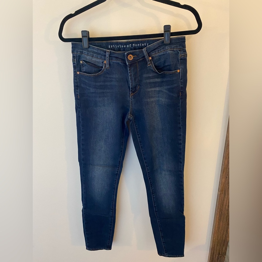 Articles of Society Dark Wash Skinny Jeans